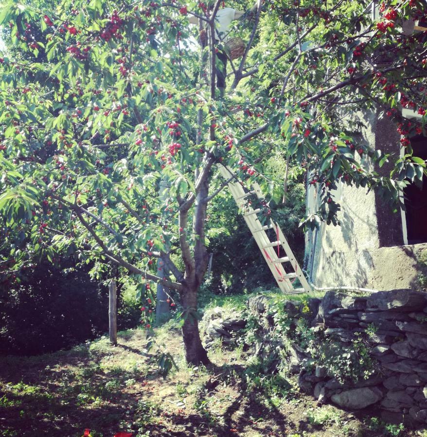 Berzuaia Bed & Breakfast Varazze Dış mekan fotoğraf