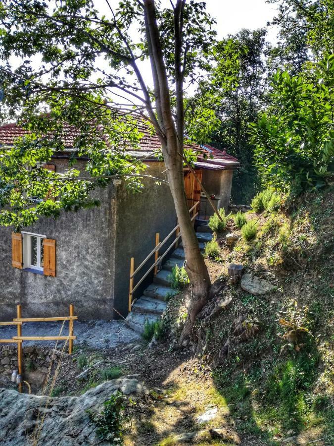 Berzuaia Bed & Breakfast Varazze Dış mekan fotoğraf