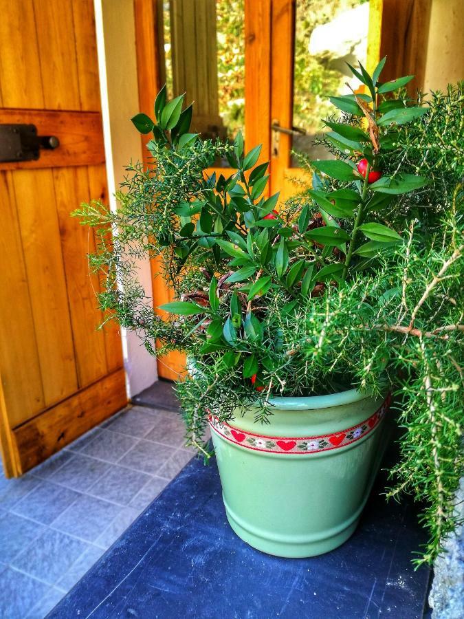 Berzuaia Bed & Breakfast Varazze Dış mekan fotoğraf