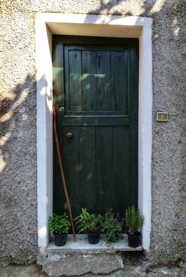 Berzuaia Bed & Breakfast Varazze Dış mekan fotoğraf