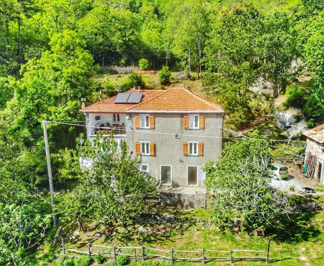 Berzuaia Bed & Breakfast Varazze Dış mekan fotoğraf